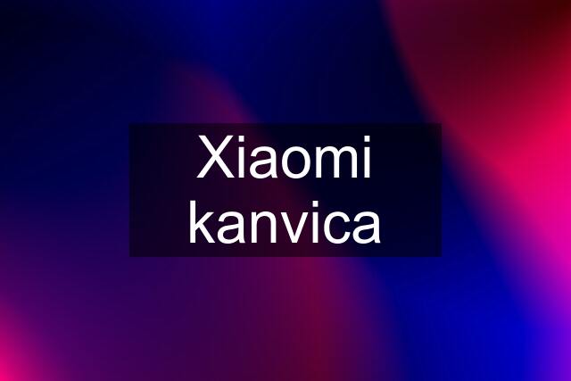 Xiaomi kanvica