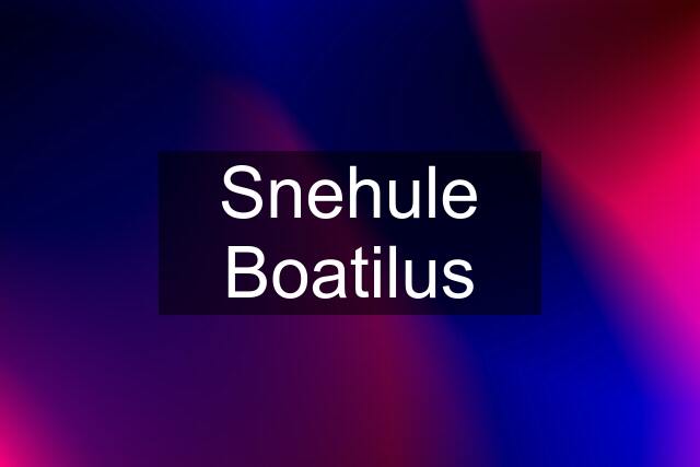 Snehule Boatilus