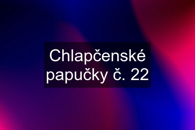 Chlapčenské papučky č. 22