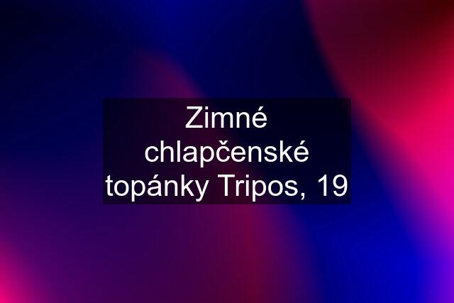 Zimné chlapčenské topánky Tripos, 19