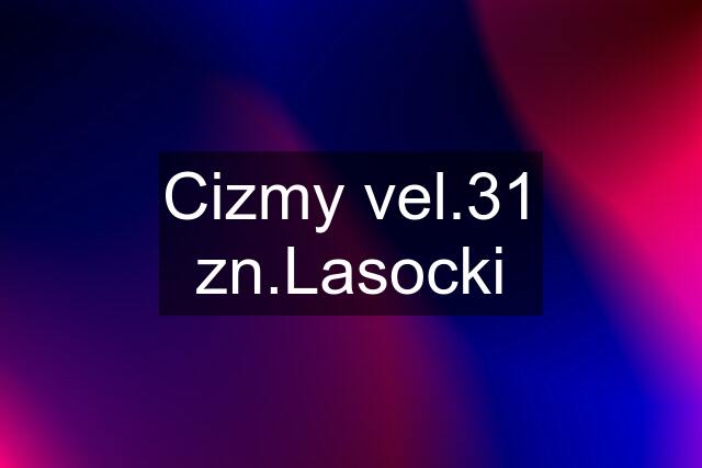 Cizmy vel.31 zn.Lasocki