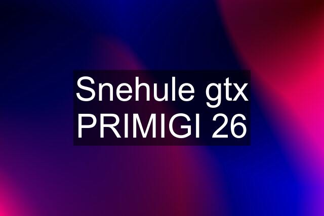 Snehule gtx PRIMIGI 26