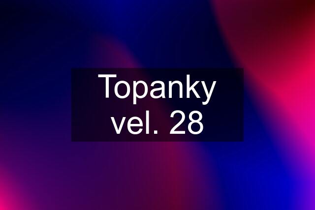 Topanky vel. 28