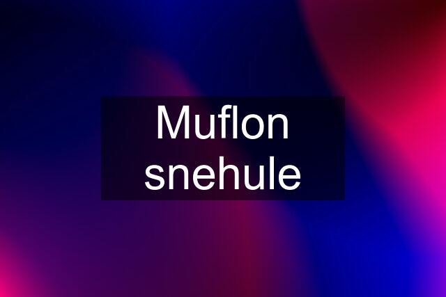 Muflon snehule