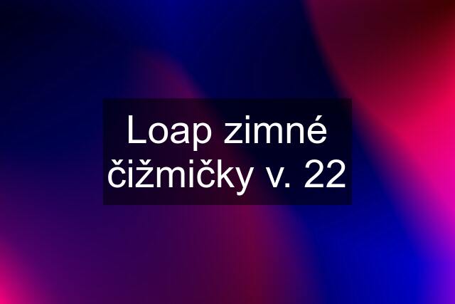 Loap zimné čižmičky v. 22