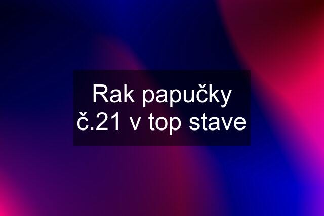 Rak papučky č.21 v top stave