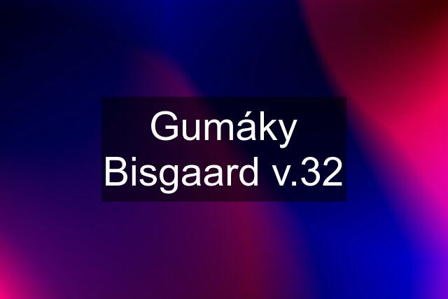 Gumáky Bisgaard v.32