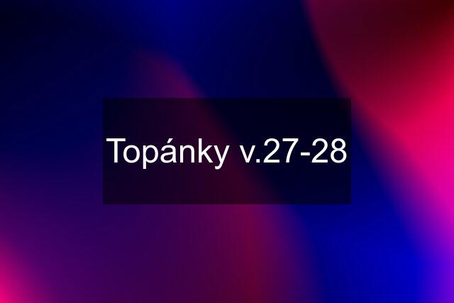 Topánky v.27-28