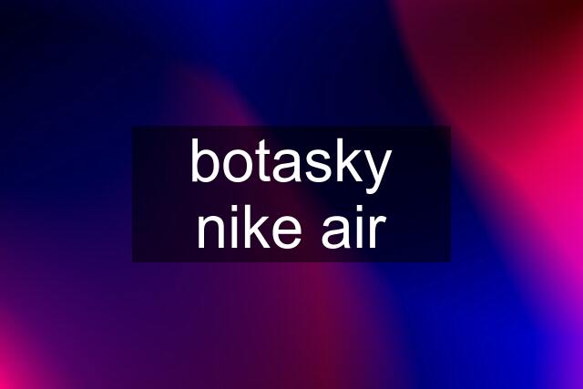 botasky nike air