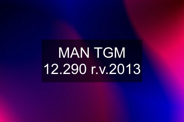 MAN TGM 12.290 r.v.2013