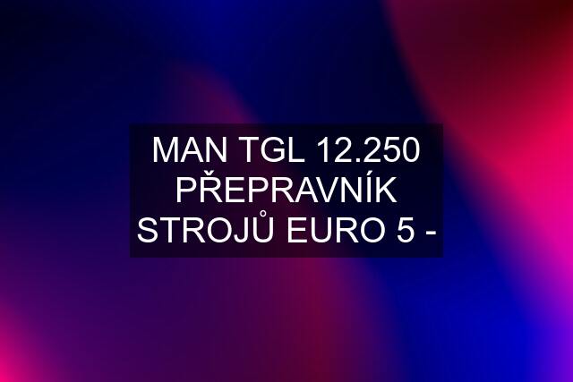 MAN TGL 12.250 PŘEPRAVNÍK STROJŮ EURO 5 -