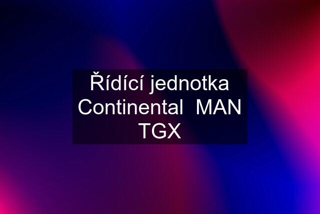 Řídící jednotka Continental  MAN TGX