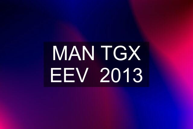 MAN TGX EEV  2013