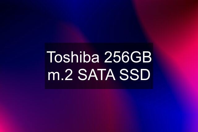 Toshiba 256GB m.2 SATA SSD