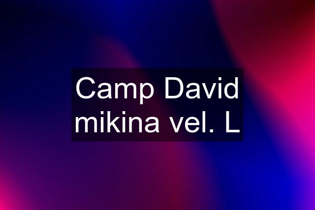 Camp David mikina vel. L