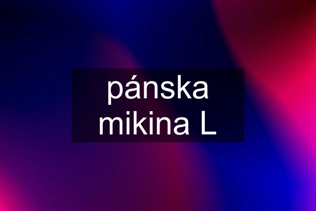 pánska mikina L