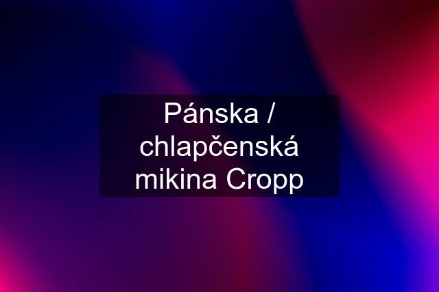 Pánska / chlapčenská mikina Cropp