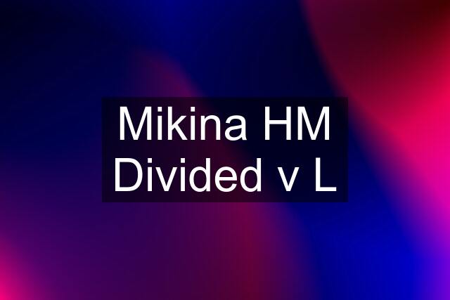 Mikina HM Divided v L