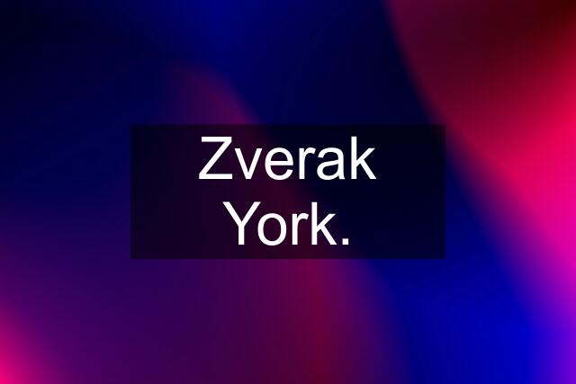 Zverak York.