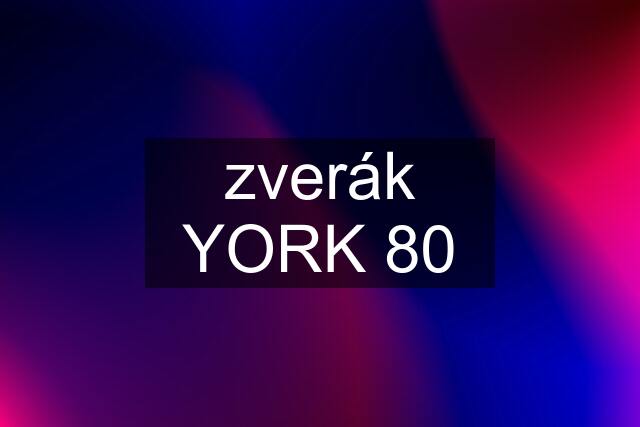 zverák YORK 80