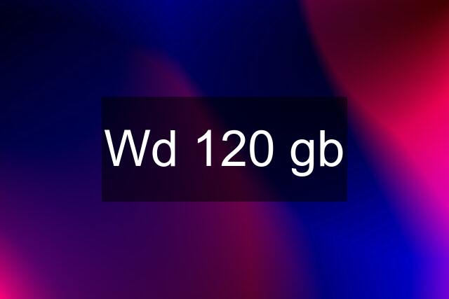 Wd 120 gb