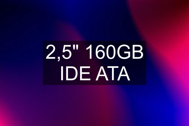 2,5" 160GB IDE ATA