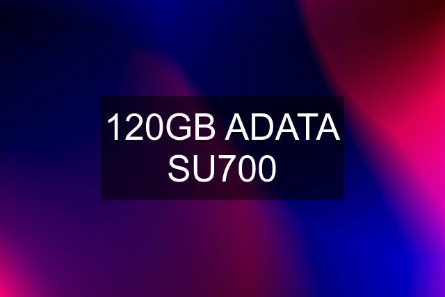 120GB ADATA SU700