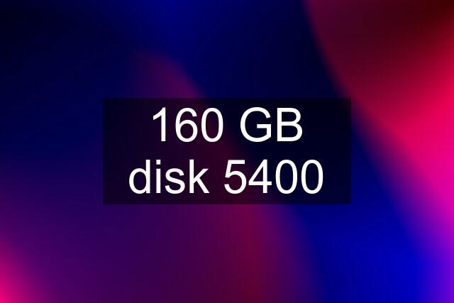 160 GB disk 5400