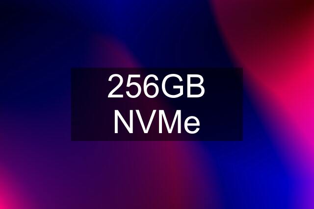 256GB NVMe