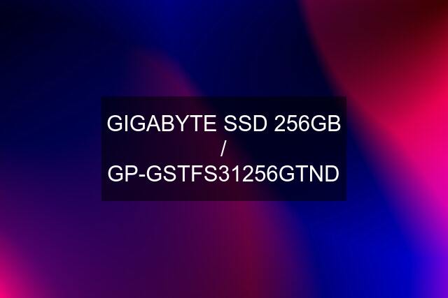 GIGABYTE SSD 256GB / GP-GSTFS31256GTND