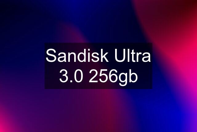 Sandisk Ultra 3.0 256gb