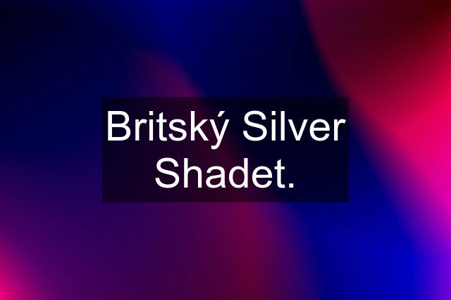 Britský Silver Shadet.