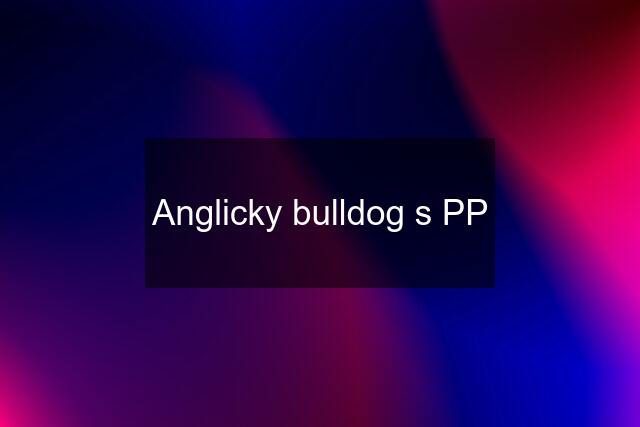 Anglicky bulldog s PP