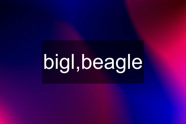 bigl,beagle