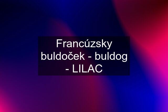 Francúzsky buldoček - buldog - LILAC