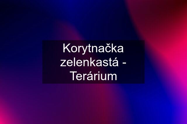 Korytnačka zelenkastá - Terárium