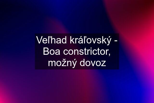 Veľhad kráľovský - Boa constrictor, možný dovoz