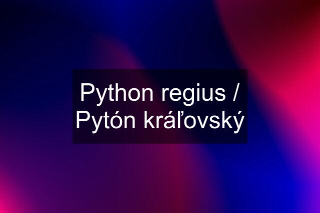 Python regius / Pytón kráľovský