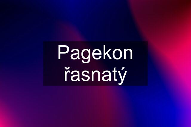 Pagekon řasnatý