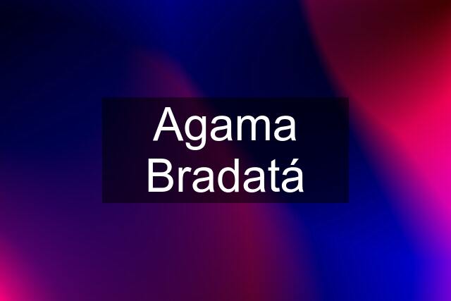 Agama Bradatá