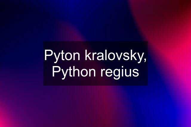 Pyton kralovsky, Python regius