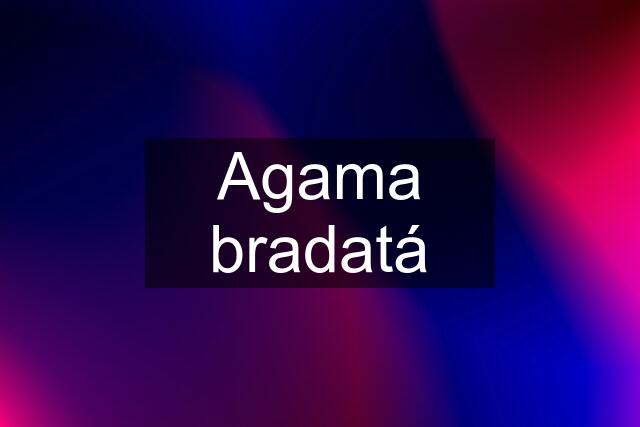 Agama bradatá