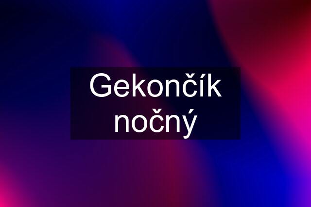 Gekončík nočný