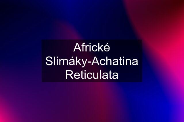 Africké Slimáky-Achatina Reticulata