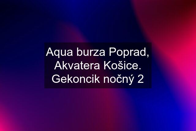 Aqua burza Poprad, Akvatera Košice. Gekoncik nočný 2