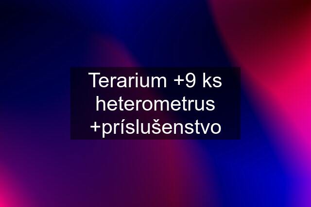 Terarium +9 ks heterometrus +príslušenstvo