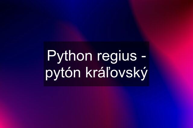 Python regius - pytón kráľovský