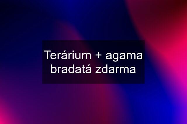 Terárium + agama bradatá zdarma