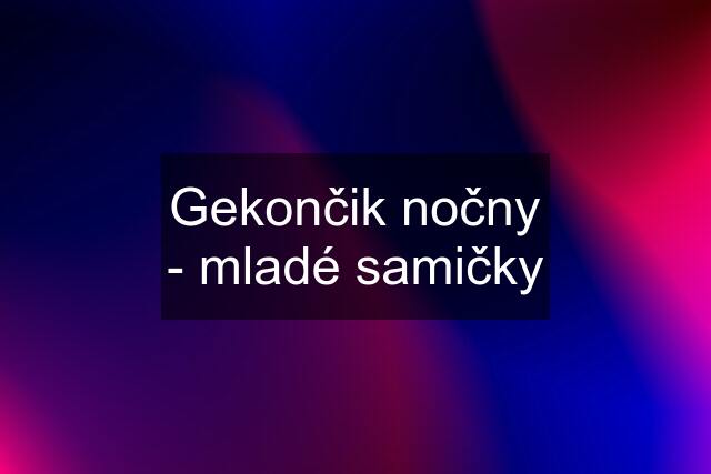 Gekončik nočny - mladé samičky