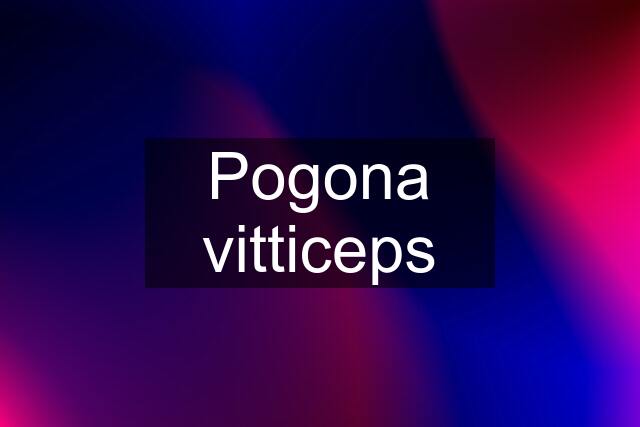 Pogona vitticeps